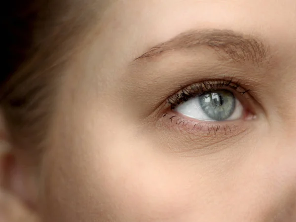 Mujer Eslava Joven Ojo Gris Azul Con Rímel Cejas Color —  Fotos de Stock