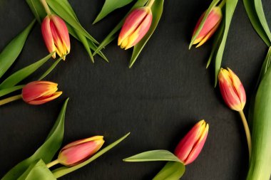 Sarı kırmızı yeşil yaprakları ile Lale buketi çiçek ve kök, arduvaz arka plan siyah çerçeve düz metin için özgür kopya yer ile üstten görünüm göklere