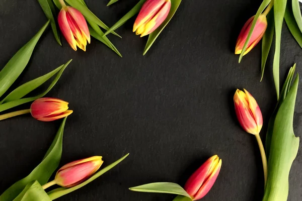 Ramo Tulipanes Flores Rojas Amarillas Con Hojas Verdes Tallo Sobre — Foto de Stock