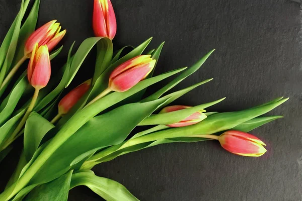 Yellow Red Flowers Tulips Bouquet Green Leaves Stem Black Slate — Stock Photo, Image