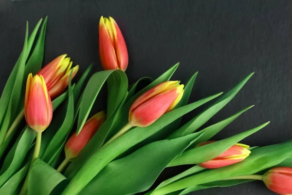 Amarillo Flores Rojas Tulipanes Ramo Con Hojas Verdes Tallo Sobre — Foto de Stock