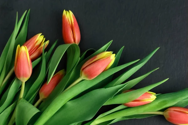 Amarillo Flores Rojas Tulipanes Ramo Con Hojas Verdes Tallo Sobre — Foto de Stock