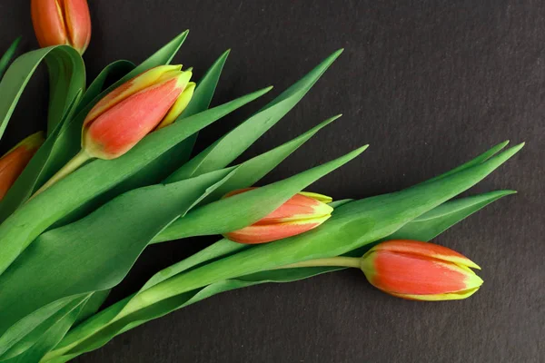 Amarillo Flores Rojas Tulipanes Ramo Con Hojas Verdes Tallo Sobre — Foto de Stock