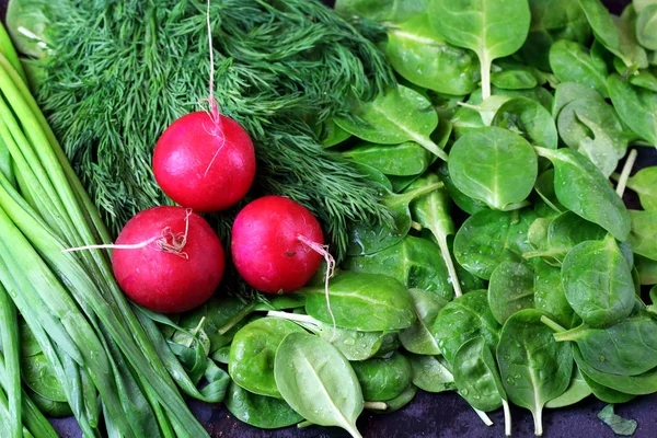 Organic Vegetables Radish Parsley Spinach Leek Top View — Stock Photo, Image