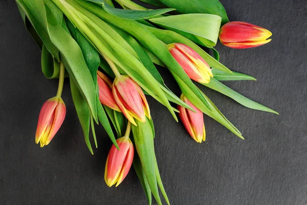 Amarillo Flores Rojas Tulipanes Ramo Con Hojas Verdes Tallo Sobre — Foto de Stock