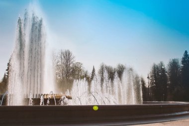 bir Avrupa şehrinde güneşli bir günde dışında bir parkta çeşme