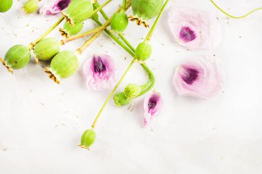 Mor leylak haşhaş çiçekleri buket ve yeşil haşhaş tohumu kafaları tomurcuk ve petalscute nazik romantizm düz metin için ücretsiz kopya alanı ile mermer arka plan çerçeve üst görünümü yatıyordu