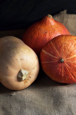 Kırmızı turuncu kırmızı kuri hokkaido kabakları yuvarlak balkabağı tereyağı kabağını retro tuval üzerinde ezer. Sonbahar sonbaharı atmosferik hasat siyah arka planda yaşam devam ediyor