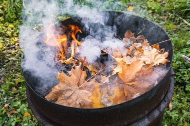 Sonbahar sarı akçaağaç yapraklarında alevler ve kömürlerle yanıyor, yukarıdan manzara, bol duman, güz yazı, sonbahar havası