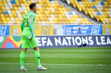 Lviv , Ukrayna - 10 Ağustos 2018: Arena Lviv, Ukrayna'da Slovakya ve Ukrayna milli takımları arasında Uefa Uluslar Ligi grup seçimi sırasında Martin Dubravka