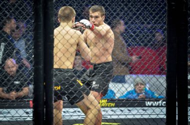Kiev, Ukrayna - 02 Mart 2019: Bogdan Kudelya mma savaşçıları figh