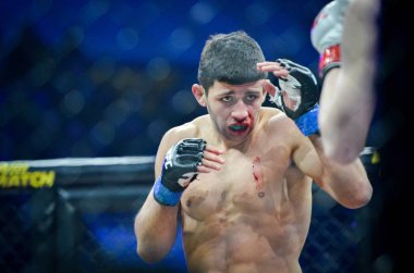 Kiev, Ukrayna - 02 Mart 2019: Arman Yesayan mma savaşçıları durin