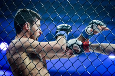 Kiev, Ukrayna - 02 Mart 2019: Anatoly Zhurakovsky mma fighte