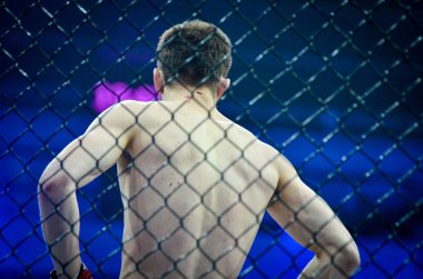 Kiev, Ukrayna - 02 Mart 2019: Anatoly Zhurakovsky mma savaşçıları