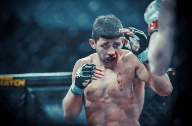Kiev, Ukrayna - 02 Mart 2019: Arman Yesayan mma savaşçıları durin
