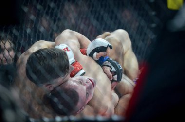 Kiev, Ukrayna - 02 Mart 2019: Ivan Dzyabenko mma savaşçıları incir