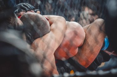Kiev, Ukrayna - 02 Mart 2019: Ivan Dzyabenko mma savaşçıları incir