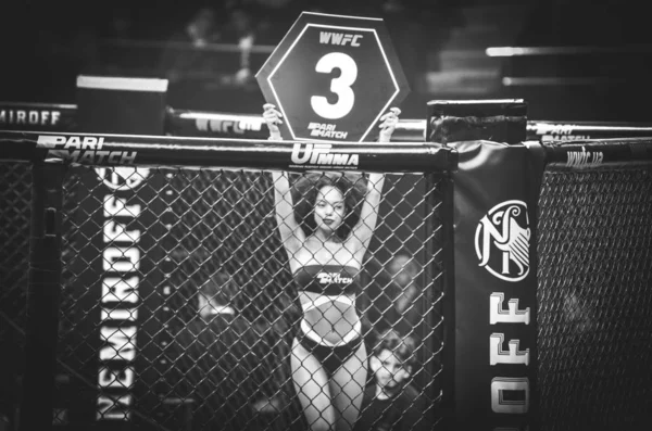 Kiev, Ukrayna - 02 Mart 2019: Wwfc 14 stajyer sırasında Ring Girls