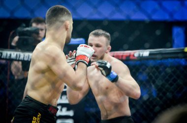 Kiev, Ukrayna - 02 Mart 2019: Lazarevich Eduard mma savaşçıları 