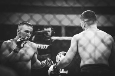 Kiev, Ukrayna - 02 Mart 2019: Lazarevich Eduard mma savaşçıları 
