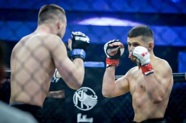 Kiev, Ukrayna - 02 Mart 2019: Lazarevich Eduard mma savaşçıları 