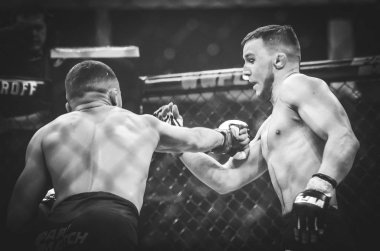Kiev, Ukrayna - 02 Mart 2019: Lazarevich Eduard mma savaşçıları 