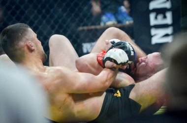Kiev, Ukrayna - 02 Mart 2019: Lazarevich Eduard mma savaşçıları 