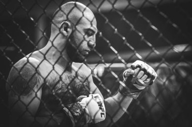 Kiev, Ukrayna - 02 Mart 2019: Azizov Gasan mma savaşçıları girdi
