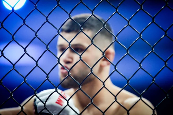 Kiev, Ukrayna - 02 Mart 2019: Grozdev Nikolay mma savaşçıları üzerinde 