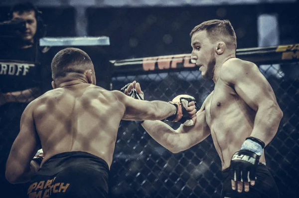 Kiev, Ukrayna - 02 Mart 2019: Lazarevich Eduard mma savaşçıları 