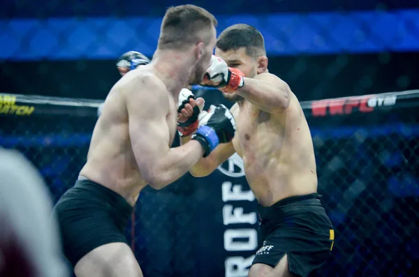 Kiev, Ukrayna - 02 Mart 2019: Lazarevich Eduard mma savaşçıları 