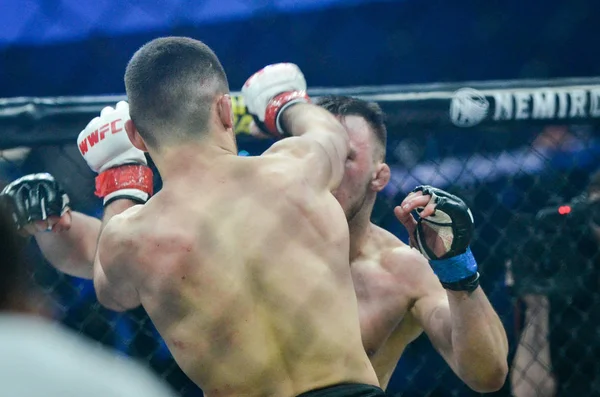 Kiev, Ukrayna - 02 Mart 2019: Lazarevich Eduard mma savaşçıları 