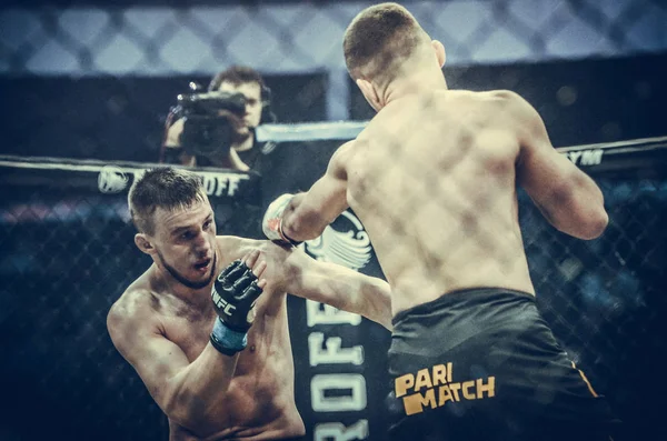 Kiev, Ukrayna - 02 Mart 2019: Lazarevich Eduard mma savaşçıları 