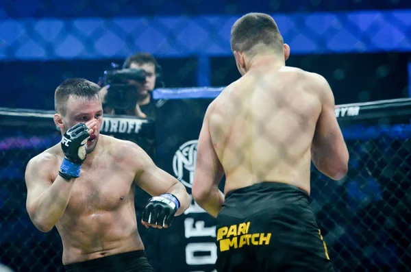Kiev, Ukrayna - 02 Mart 2019: Lazarevich Eduard mma savaşçıları 