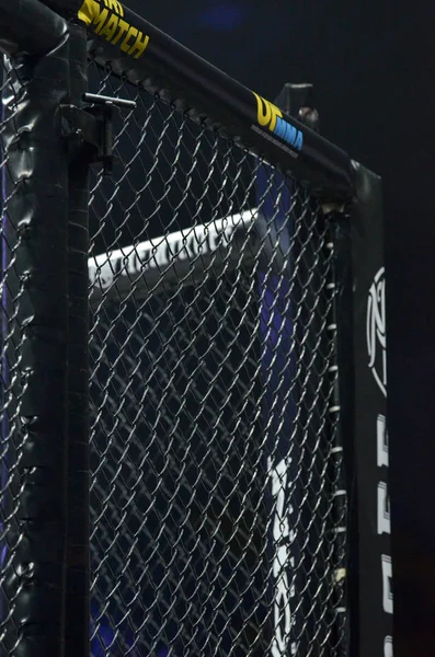 Kiev, Ukrayna - 02 Mart 2019: Altıgenin ayrıntıları ve öğeleri 