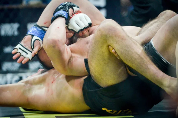 Kiev, Ukrayna - 02 Mart 2019: Lazarevich Eduard mma savaşçıları 