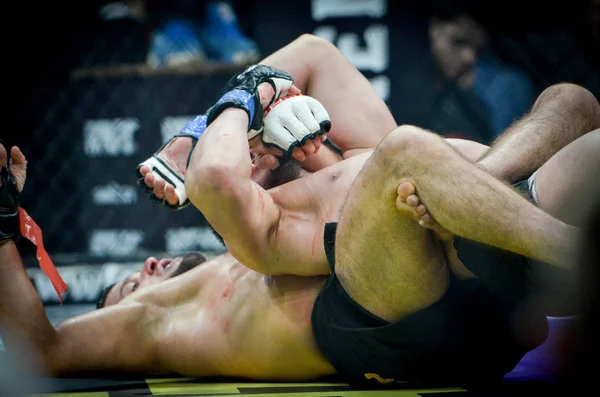 Kiev, Ukrayna - 02 Mart 2019: Lazarevich Eduard mma savaşçıları 