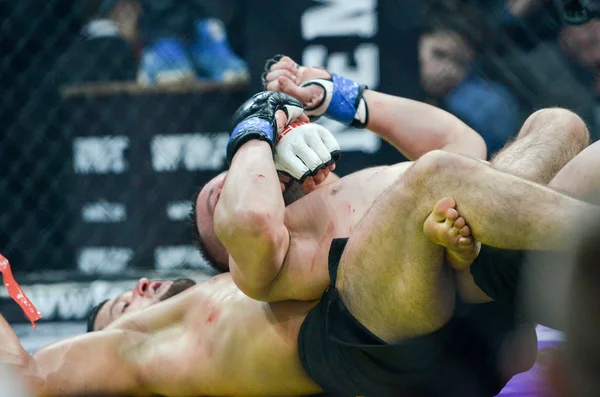 Kiev, Ukrayna - 02 Mart 2019: Lazarevich Eduard mma savaşçıları 