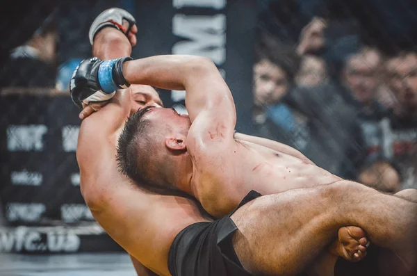 Kiev, Ukrayna - 02 Mart 2019: Lazarevich Eduard mma savaşçıları 