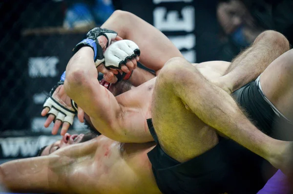 Kiev, Ukrayna - 02 Mart 2019: Lazarevich Eduard mma savaşçıları 
