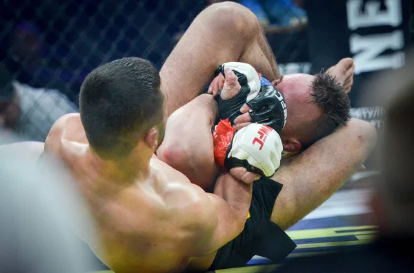 Kiev, Ukrayna - 02 Mart 2019: Lazarevich Eduard mma savaşçıları 
