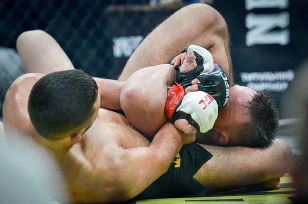 Kiev, Ukrayna - 02 Mart 2019: Lazarevich Eduard mma savaşçıları 