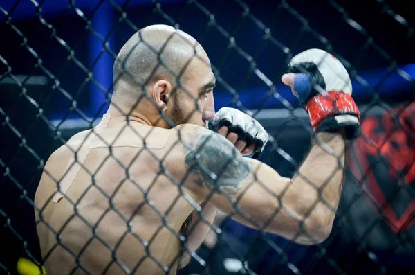 Kiev, Ucrânia - 02 de março de 2019: caças Azizov Gasan mma entram — Fotografia de Stock