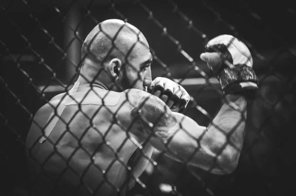Kiev, Ukraina-mars 02, 2019: Azizov Gasan MMA fighters satt — Stockfoto