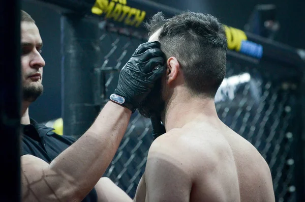 Kiev, Ukrayna - 02 Mart 2019: Paata Chapelia mma savaşçıları ente