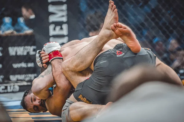 Kiev, Ukrayna - 02 Mart 2019: Mikhail Odintsov mma savaşçıları f