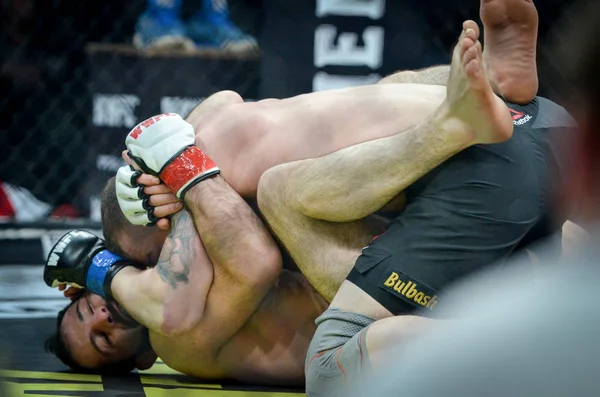 Kiev, Ukrayna - 02 Mart 2019: Mikhail Odintsov mma savaşçıları f