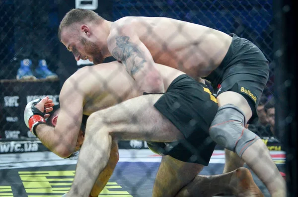 Kiev, Ukrayna - 02 Mart 2019: Mikhail Odintsov mma savaşçıları f