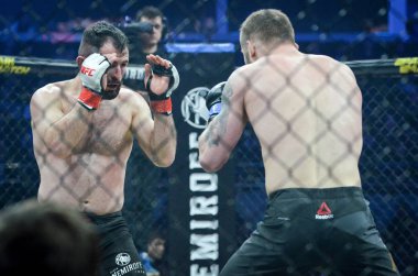 Kiev, Ukrayna - 02 Mart 2019: Mikhail Odintsov mma savaşçıları f