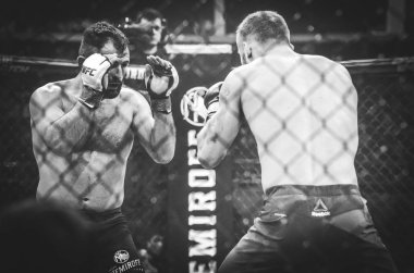 Kiev, Ukrayna - 02 Mart 2019: Mikhail Odintsov mma savaşçıları f